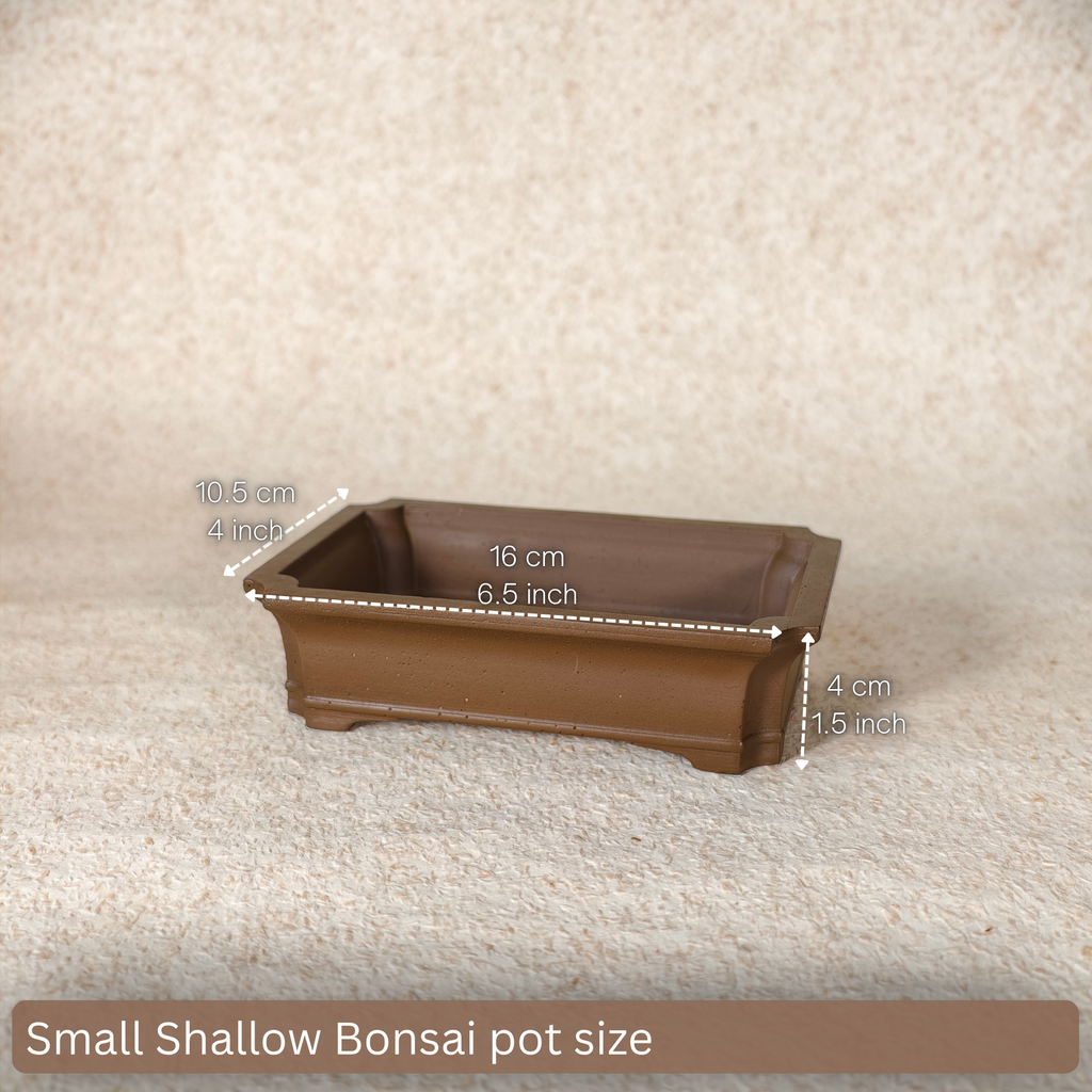 Bonsai Pot Mold for Concrete & Cement – Design 001-Small Shallow