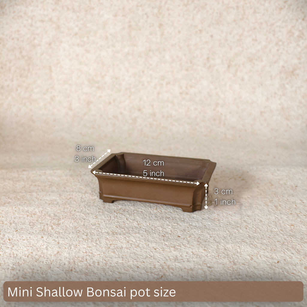 Bonsai Pot Mold for Concrete & Cement – Design 001-Mini Shallow