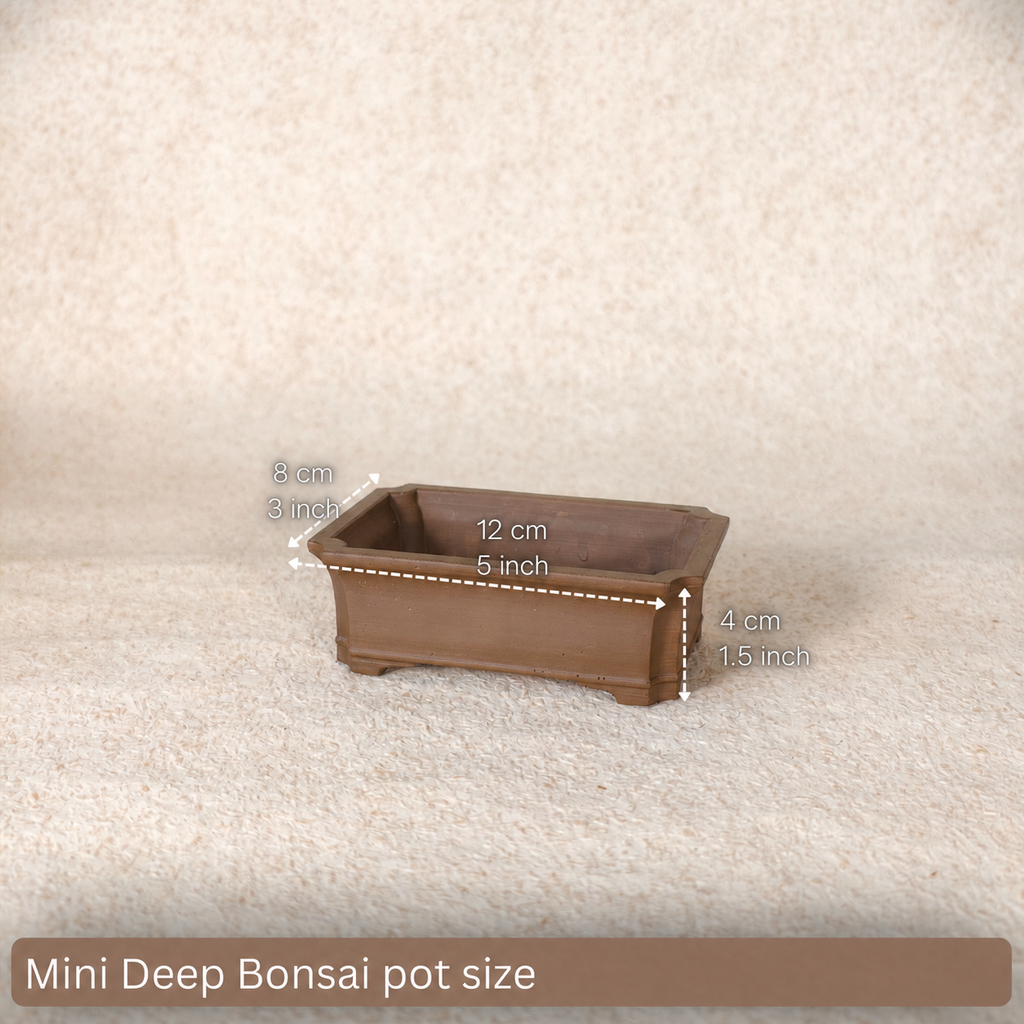 Bonsai Pot Mold for Concrete & Cement – Design 001-Mini Deep